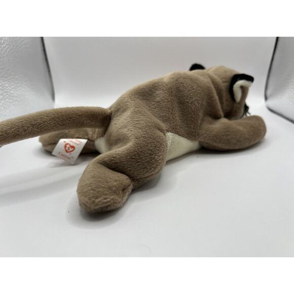 TY Beanie Baby Babies Stuffed Animal Plush Canyon 1998 - Picture 4 of 9